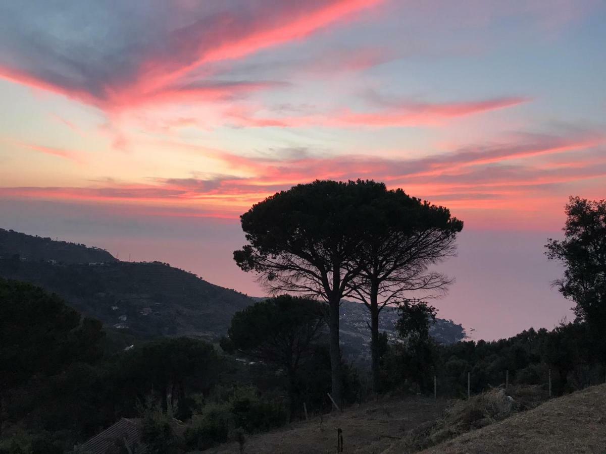Incantevole Villa Con Vista Mozzafiato Чефалу Экстерьер фото